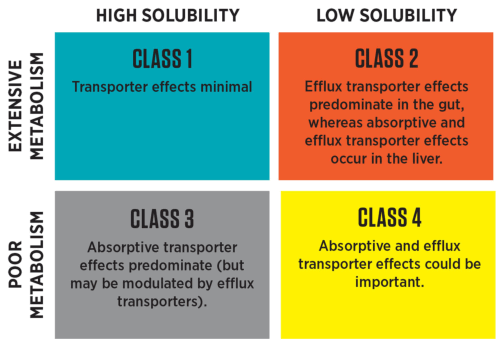 Biopharmaceutics Classification System